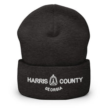 Load image into Gallery viewer, Harris County Lantern Beanie